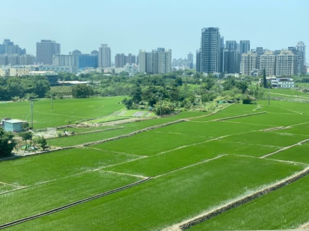 都市邊陲農地無止境地被重劃，原有的綠地換成高價建地，原有的生態價值也被嚴重削弱。