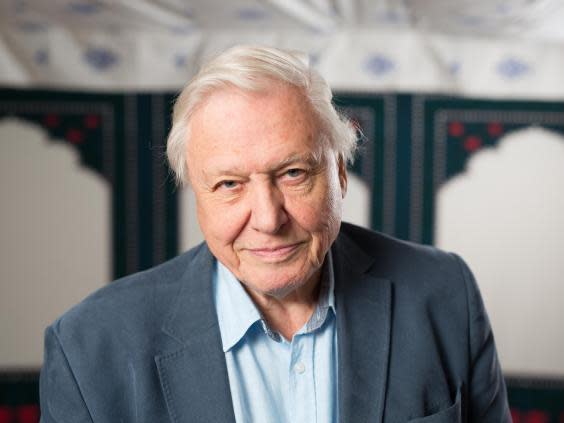 Our Planet: David Attenborough to present Netflix nature documentary series