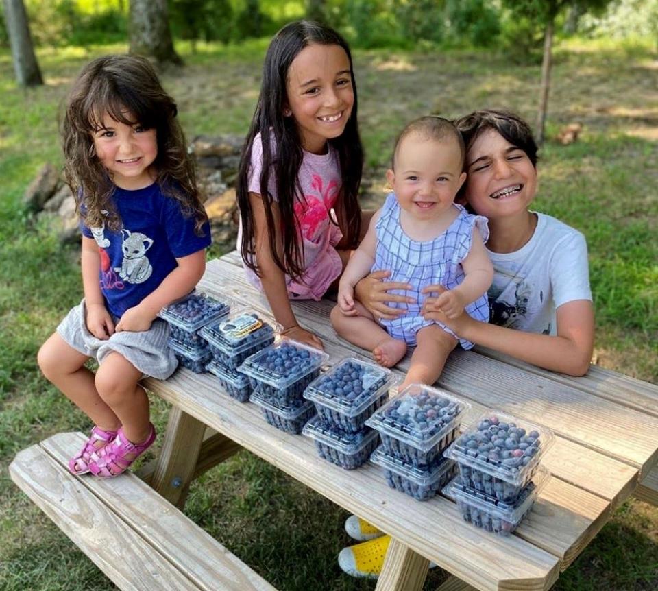 You can pick your own fresh blueberries at DiMeo Farms in Hammonton.