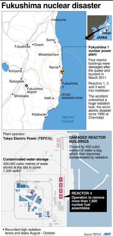 Factfile on the 2011 Fukushima nuclear disaster in Japan