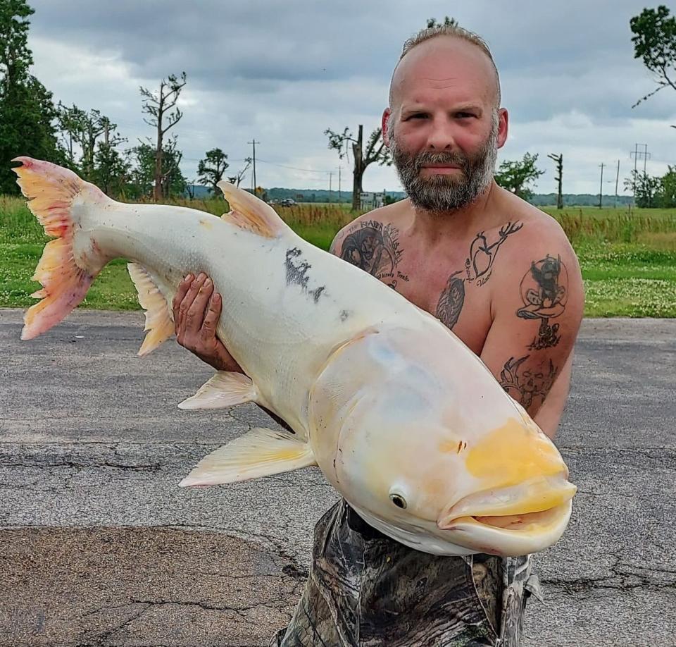 Victor Siwik shows off the nearly 42-pound bighead carp with unique white and yellow features he caught in Reelfoot Lake.