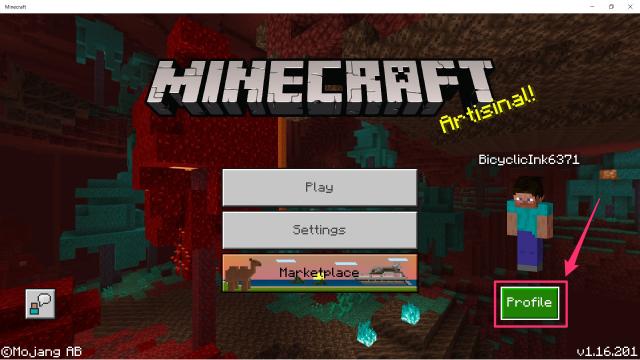 HOW TO CHANGE THE SKIN NAME IN MINECRAFT PE 1.14 