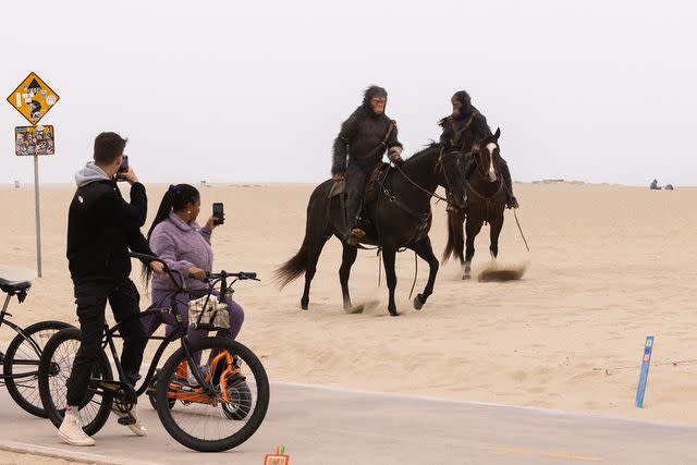 <p>Experiential Supply</p> Humans dressed as apes spotted on Venice beach