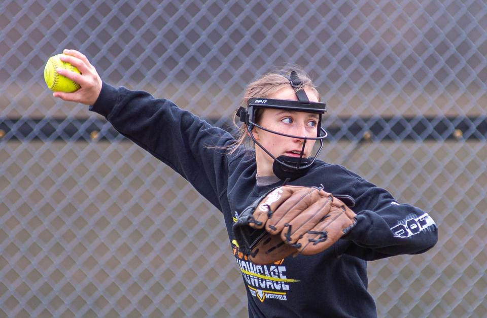 Auburn senior shortstop Maya Viel was named second-team All-State in Class 4A by the Illinois Coaches Association.