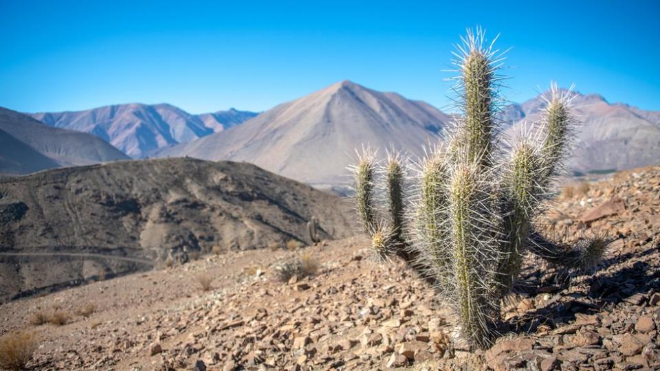 Atacama