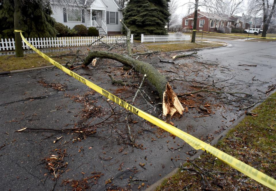 Caution tape blocks off this section of Maywood Street in Monroe last Thursday after a large tree limb came down into the roadway because of Wednesday's ice storm.