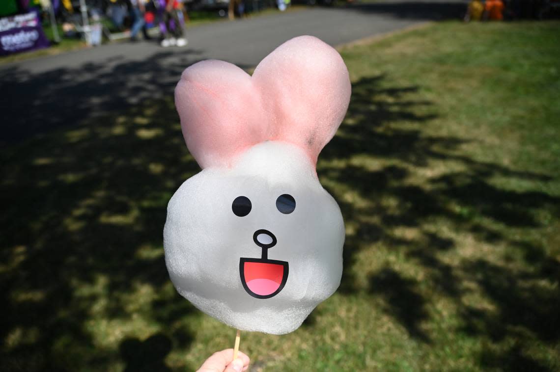 A cotton candy bunny from the Sweet Art Cotton Candy stand Thursday, Aug. 11, at the Northwest Washington Fair in Lynden.