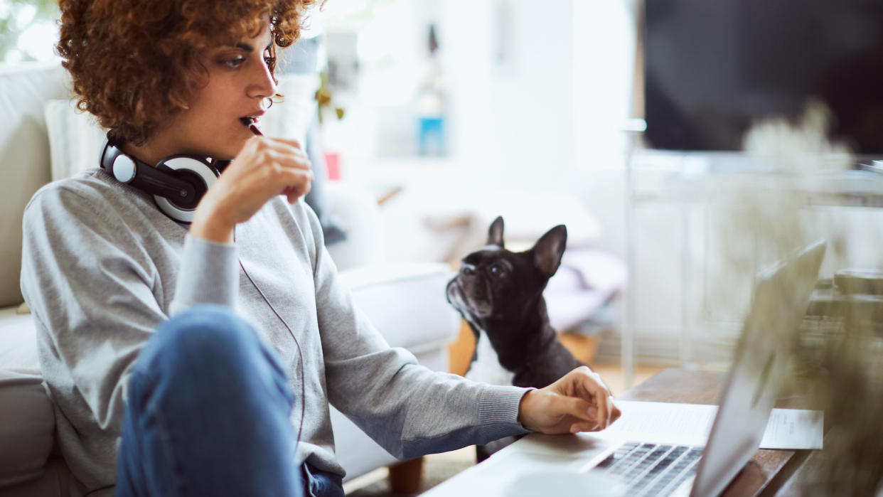  Woman working with dog looking on. 