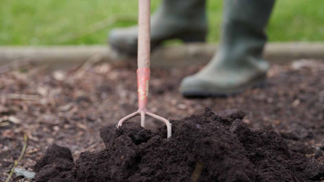 Farmer working in the garden