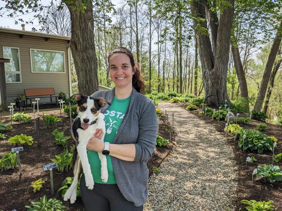 Hostas on the Bluff owner Erica Kniffin and Sophie the border collie Jennifer Green/jgreen@bnd.com