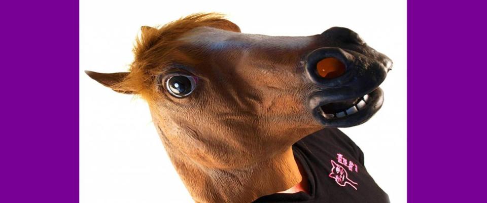 Horse Head Mask from Accoutrements