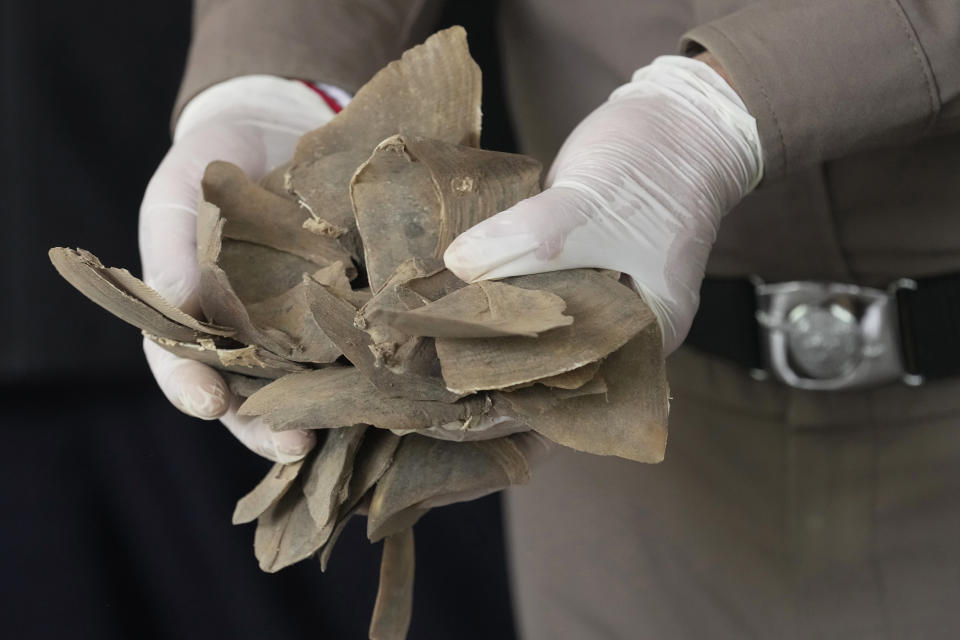 Thai authorities display seized pangolin scales during a news conference at the Natural Resources and Environmental Crime Division in Bangkok, Thailand, Thursday, Aug. 17, 2023. Thai authorities say they have seized more than a ton of pangolin scales worth over 50 million baht ($1.4 million) believed to be on the way out of the country through a land border. (AP Photo/Sakchai Lalit)