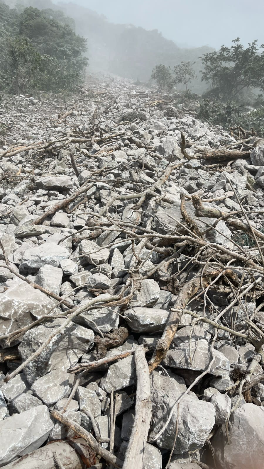 花蓮地區遭地震重創，台8線、台9線蘇花路廊全線封閉。翻攝畫面