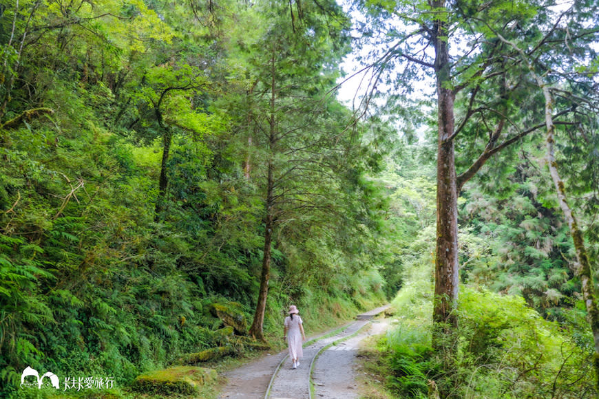 宜蘭太平山｜見晴懷古步道