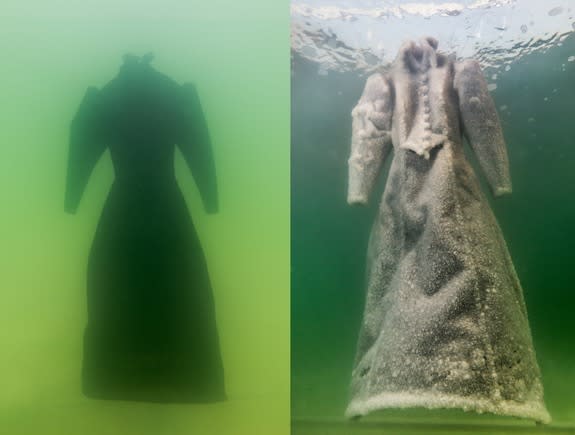 A new piece of artwork by Sigalit Landau shows what happens when objects are submerged in the salty waters of the Dead Sea. The black dress on the left transformed into the sparkly salt sculpture on the right