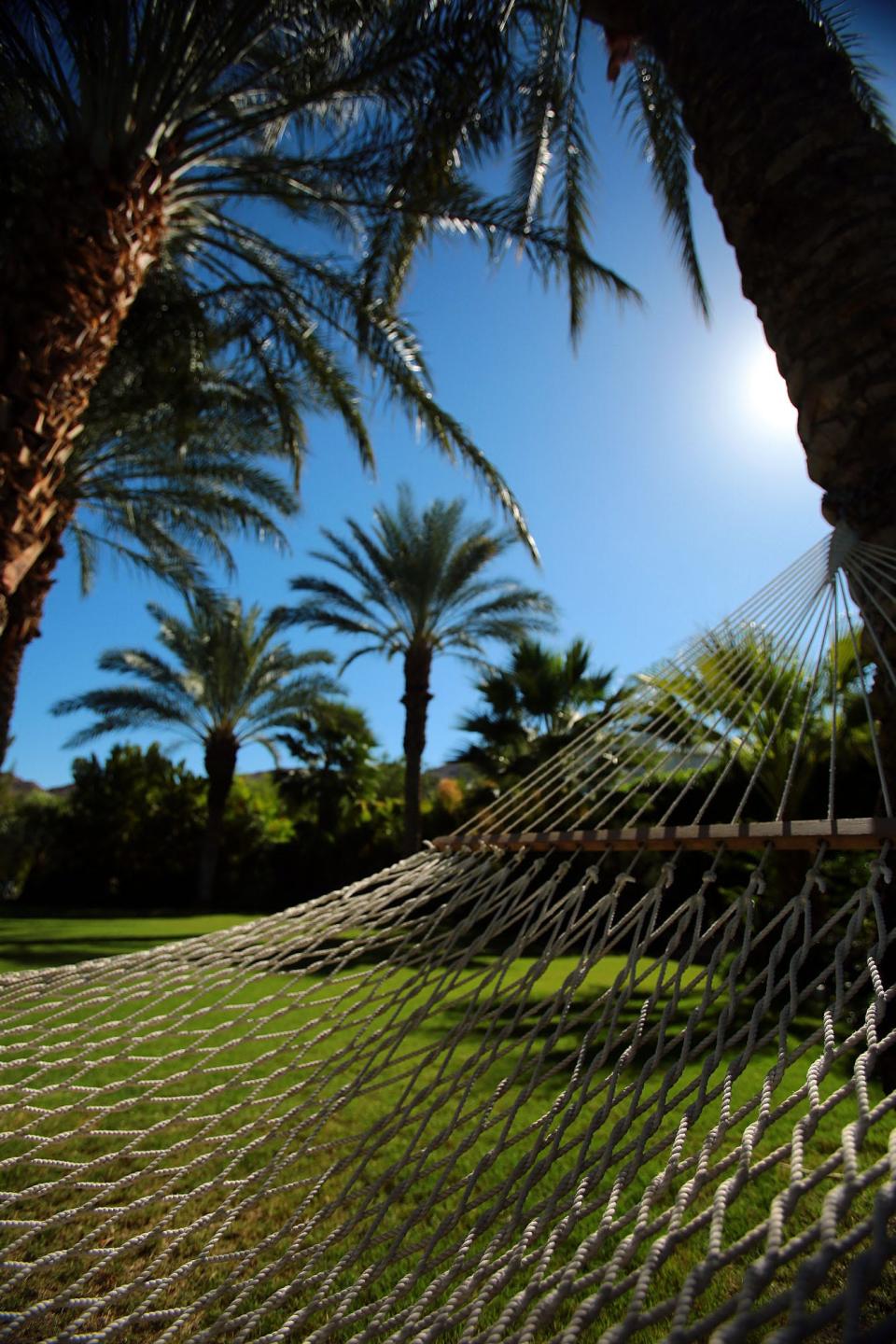 A hammock is suspended between two palm trees at the Parker Palm Springs on Monday, September 29, 2014.