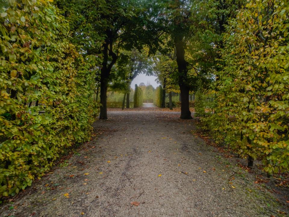 A garden maze in Vienna