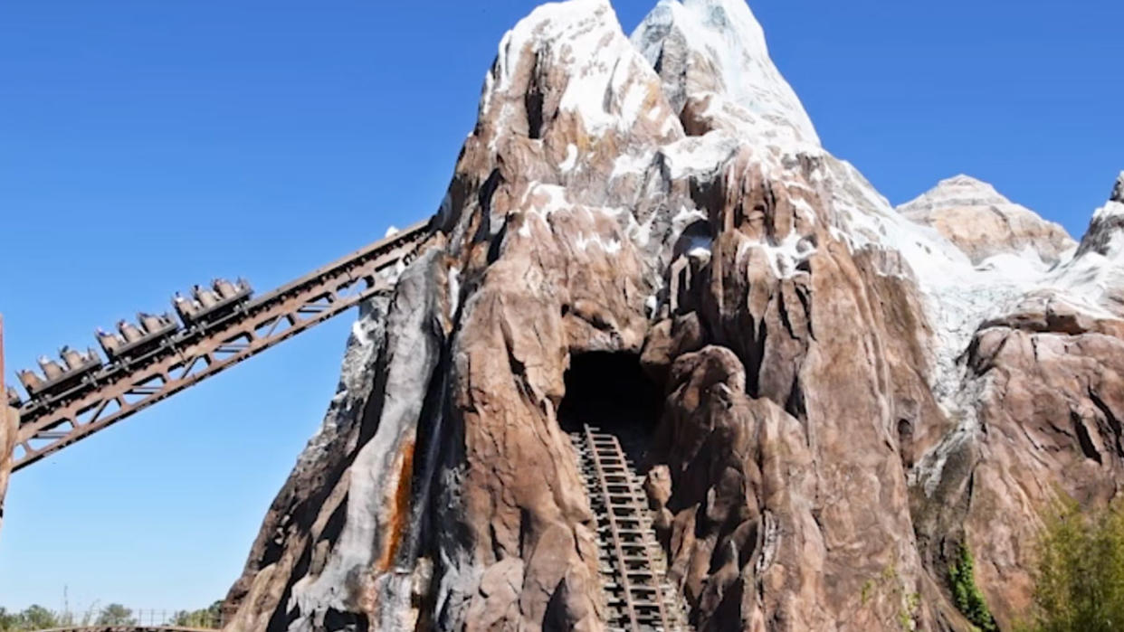  Screenshot From Disney World Parks Blog Video. 