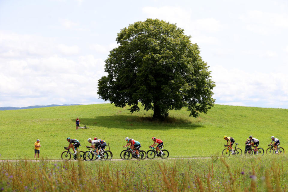 POLIGNY FRANCE  JULY 21 A general view of Tiesj Benoot of Belgium and Team JumboVisma Matteo Trentin of Italy and UAE Team Emirates Julian Alaphilippe of France and Team Soudal  Quick Step Jack Haig of Australia and Team Bahrain Victorious Nils Politt of Germany and Team BORAHansgrohe Mads Pedersen of Denmark and Team LidlTrek Georg Zimmermann of Germany and Team IntermarchCircusWanty Warren Barguil of France and Team ArkaSamsic Victor Campenaerts of Belgium and Team Lotto Dstny compete in the breakaway during the stage nineteen of the 110th Tour de France 2023 a 1728km stage from MoiransenMontagne to Poligny  UCIWT  on July 21 2023 in Poligny France Photo by Michael SteeleGetty Images