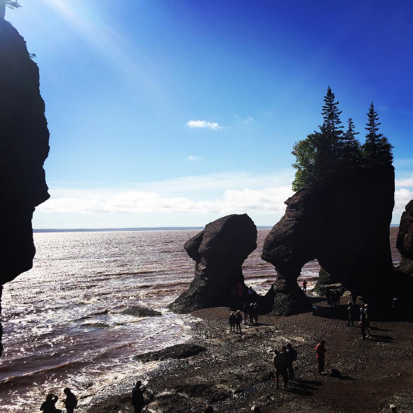 Bay of Fundy, N.B.