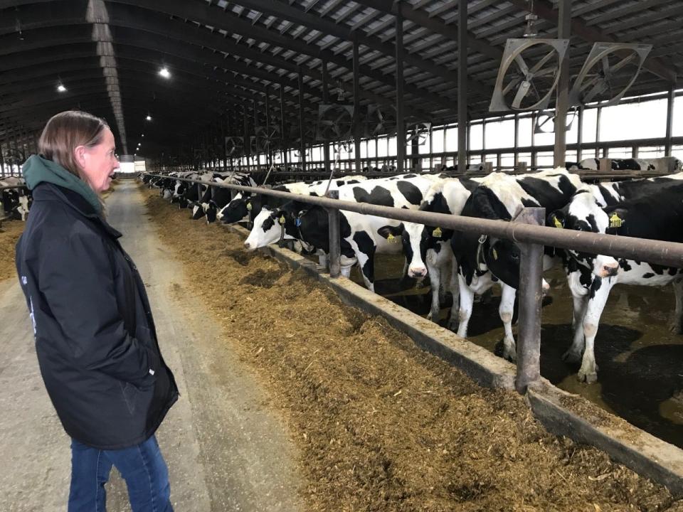 Goma Dairy owner Gertie Van den Goor walks down the aisle during feeding time with her dairy cows on Monday, Dec. 27, 2021.