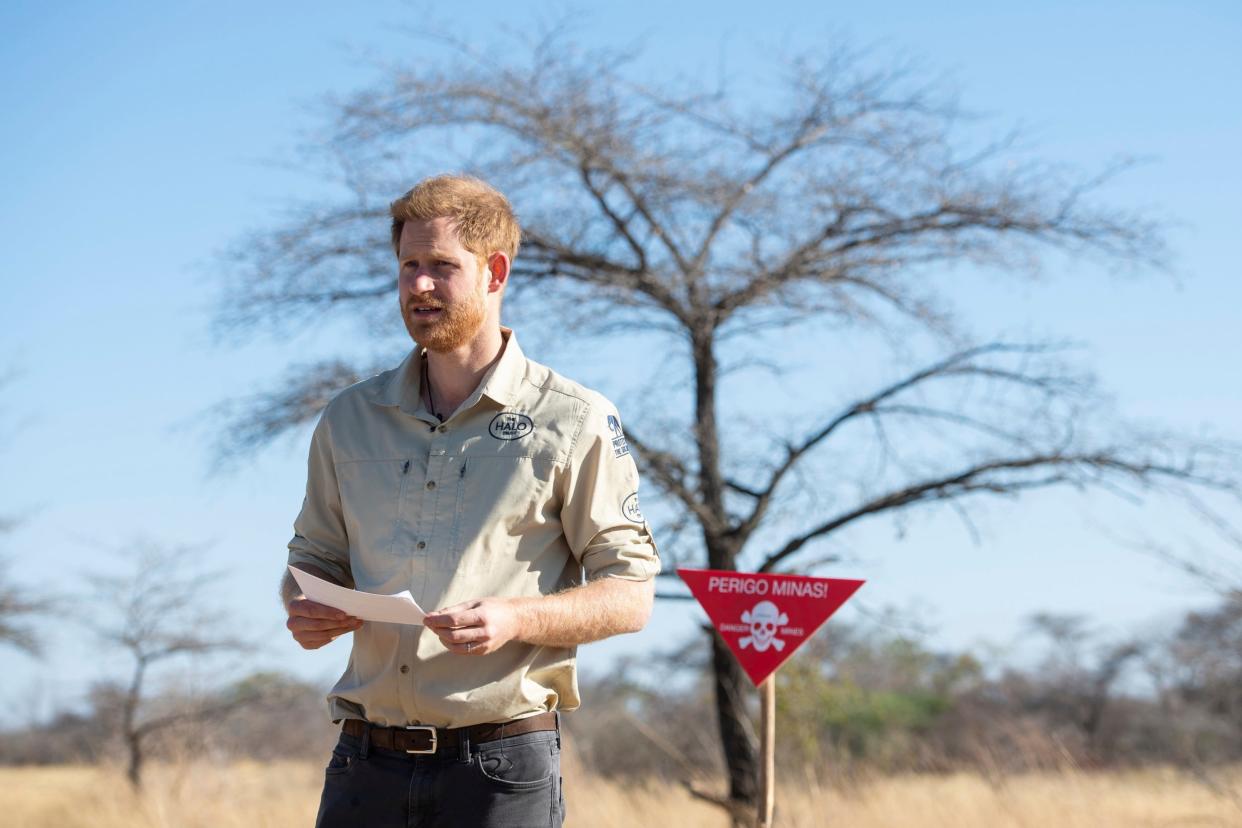 Prince Harry makes a speech during a visit to a minefield in Dirico, Angola, on Friday: Dominic Lipinski