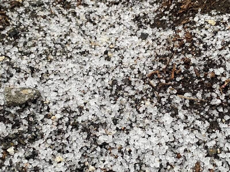 ▲玉山下雪了！今晨降下冰珠和初雪，創史來「最晚初雪」。（圖／中央氣象局提供）