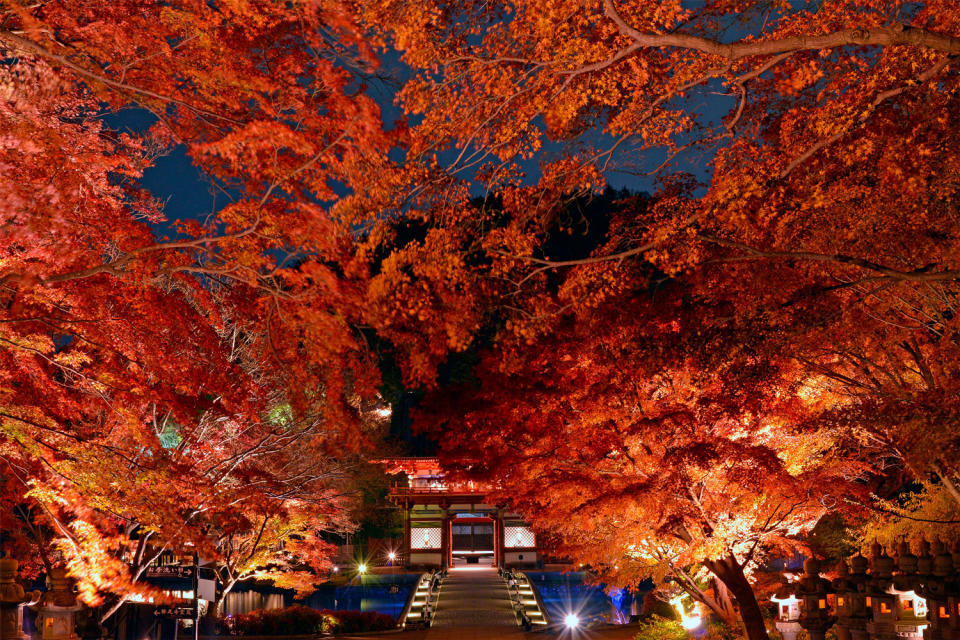 日本紅葉2022丨9大隱世紅葉景點推介！福岡寶滿宮竈門神社/岩手中尊寺/奈良岡寺/長野松原湖