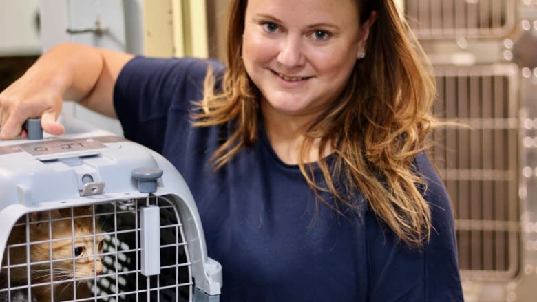 Brand new Sherbrooke animal shelter gets cat condos, 'state-of-the-art' clinic