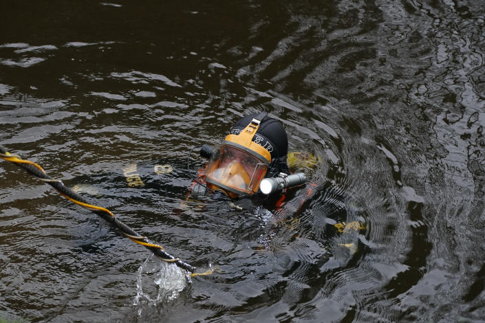 A diver searches in the River Wyre, in St Michael&#39;s on Wyre, Lancashire, where the police search continues for missing woman Nicola Bulley who was last seen on the morning of Friday January 27, when she was spotted walking her dog on a footpath by the river. Picture date: Thursday February 2, 2023.