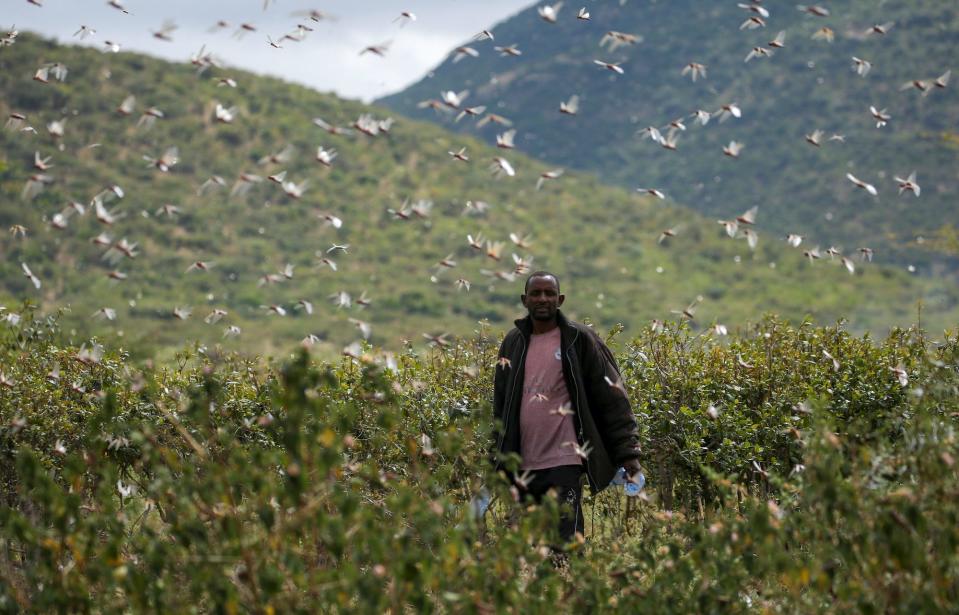 Ethiopian farmer.JPG