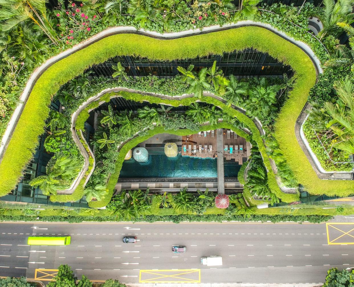 Jardines en un hotel en Singapur. <a href="https://www.shutterstock.com/es/image-photo/singaporesingapore-02-2020-aerial-view-iconic-1649454829" rel="nofollow noopener" target="_blank" data-ylk="slk:Fbehar0 / Shutterstock;elm:context_link;itc:0;sec:content-canvas" class="link ">Fbehar0 / Shutterstock</a>