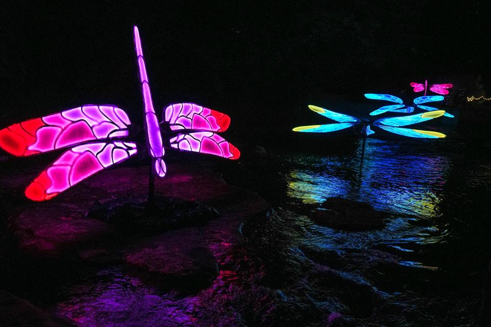 Large glowing dragonflies change color in "Enter the Dragonfly," an art installation part of this year's Creek Show.