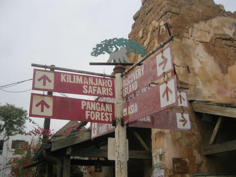 photo of a sign post at animal kingdom