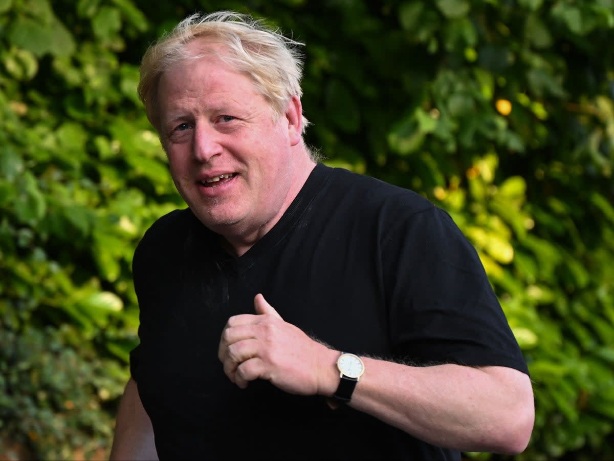 Boris Johnson called on senior Tory MP to resign hours before report (AFP/Getty)