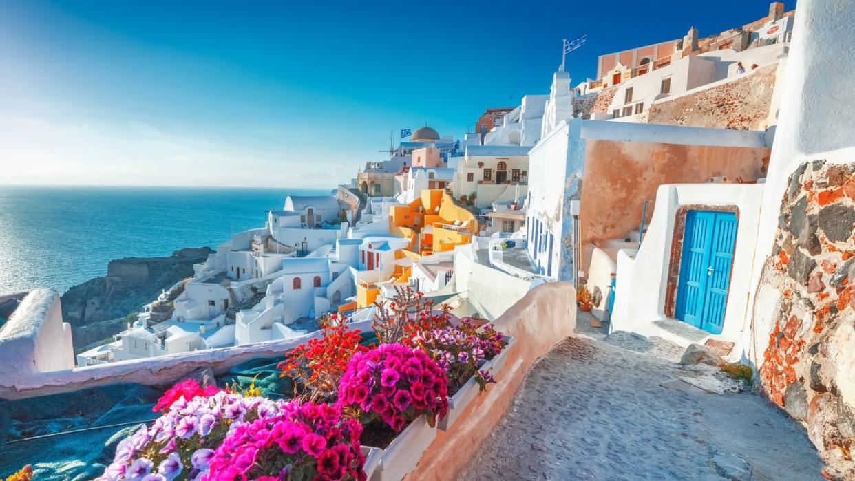 santorini, greece picturesq view of traditional cycladic santorini houses on small street with flowers in foreground location oia village, santorini, greece vacations background