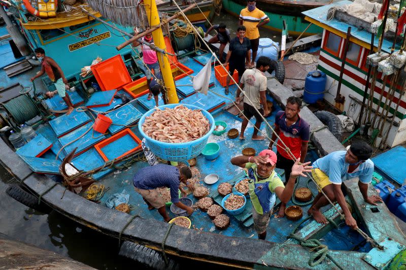 A fisherman throws a basket filled with prawns for sorting at a fish market, amidst the spread of the coronavirus disease (COVID-19), in Mumbai