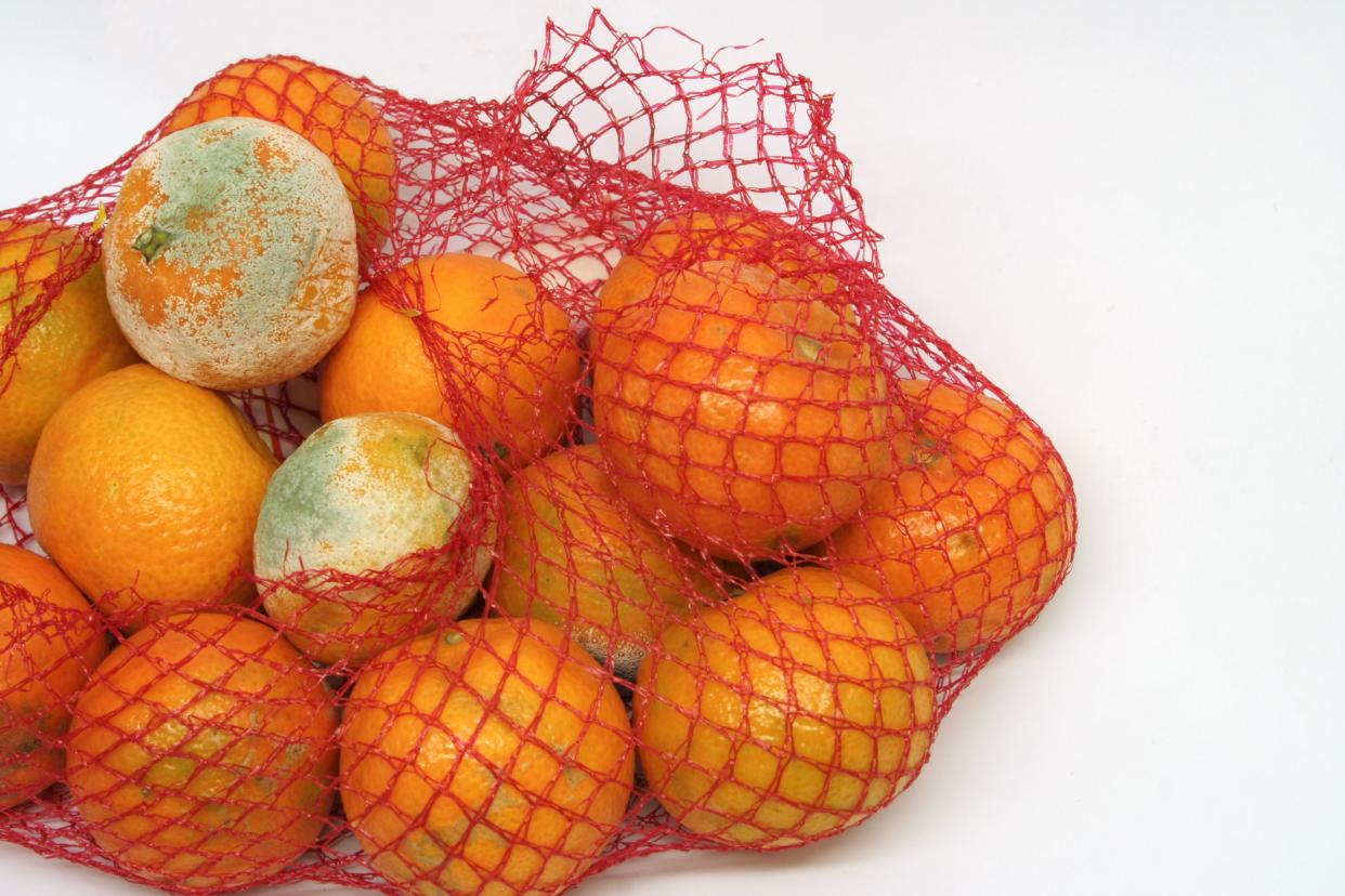 Oranges rotting in a net bag on a white background.