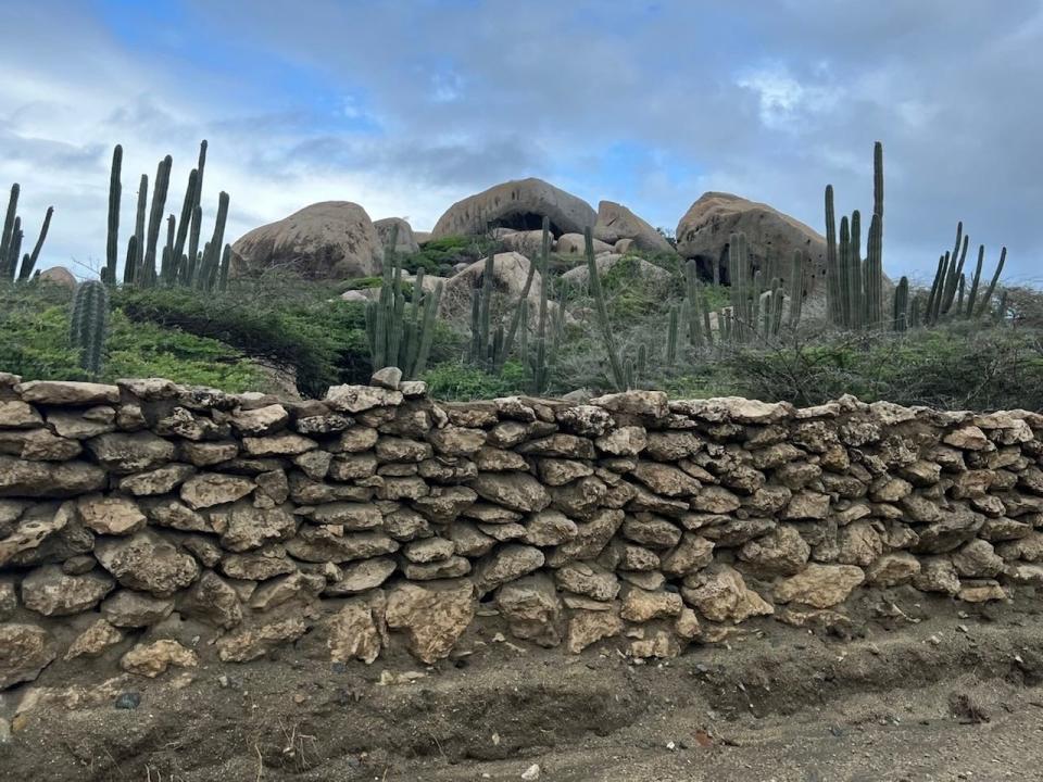 A rock retaining wall with cacti, greenery, and large rock formations above it.