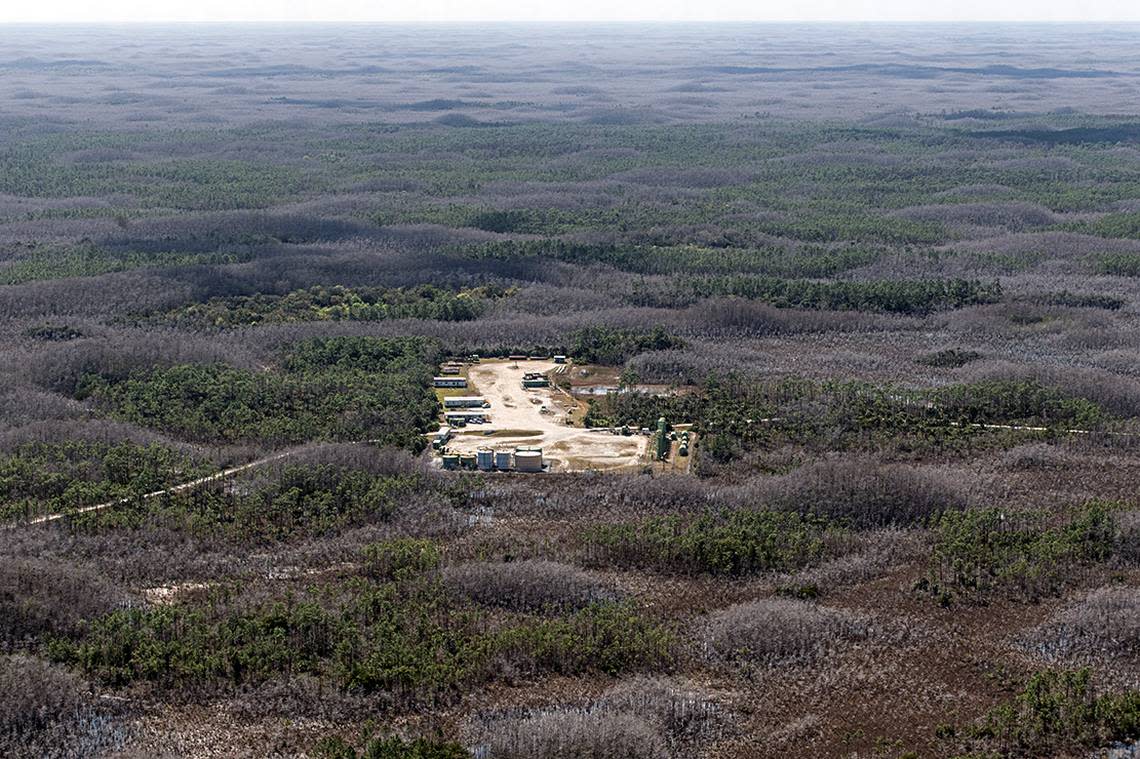 An aerial image of “legacy” oil and gas fields in eastern Big Cypress National Preserve.