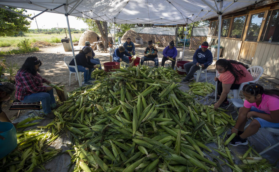 Norma Naranjo, left, is helped by relatives and friends to peel corn at her home in Ohkay Owingeh, formerly called San Juan Pueblo, in northern New Mexico, Sunday, Aug. 21, 2022. Friends and relatives of the Naranjos gather every year to make chicos, dried kernels used in stews and puddings. (AP Photo/Andres Leighton)