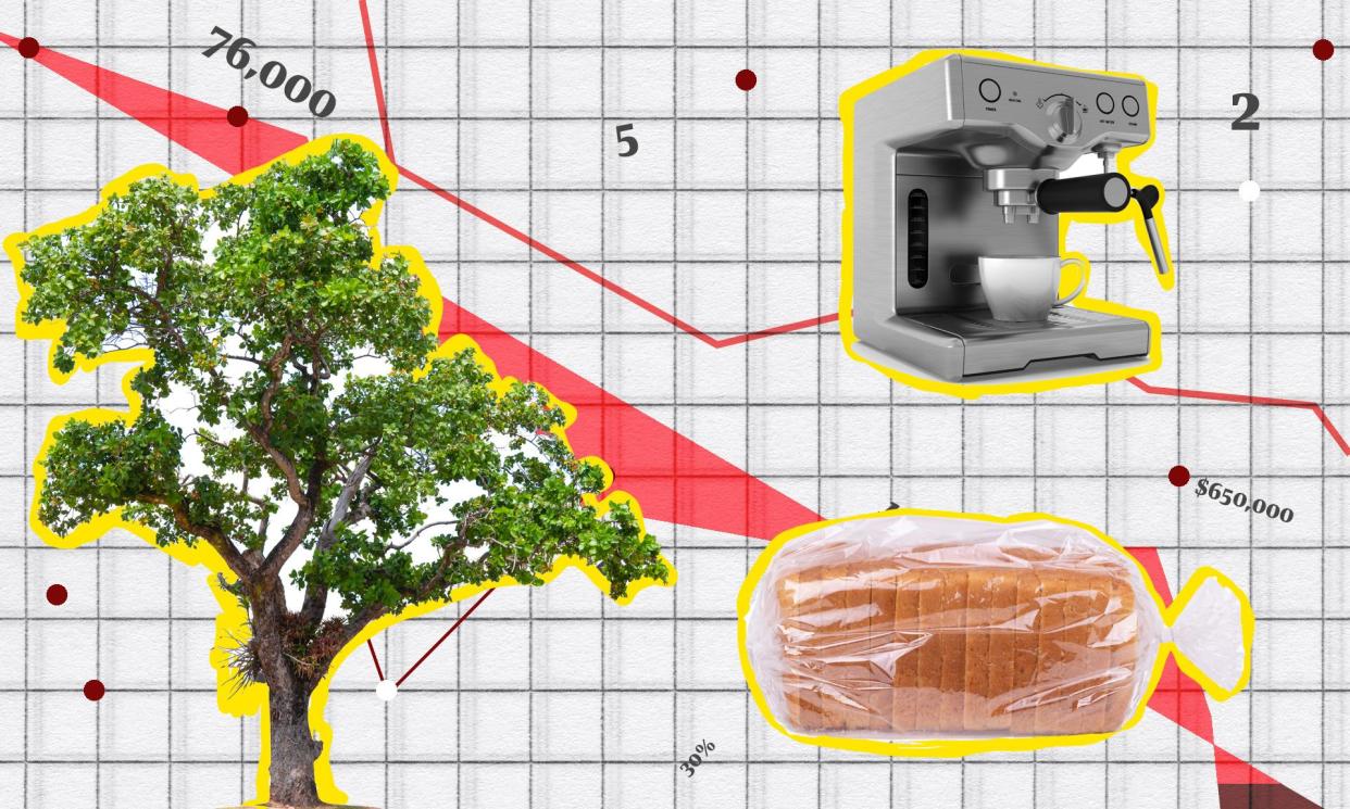 <span>In this edition of the Crunch, we calculate how rich you are, look at the latest research on cold drip coffee and check in on a pledge to plant a trillion trees.</span><span>Composite: Getty Images</span>