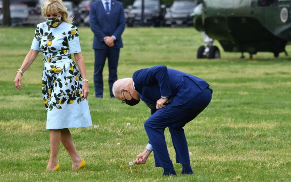 President Joe Biden picks a dandelion flower for First Lady Jill Biden as they depart on Marine One from the Ellipse in Washington - AFP