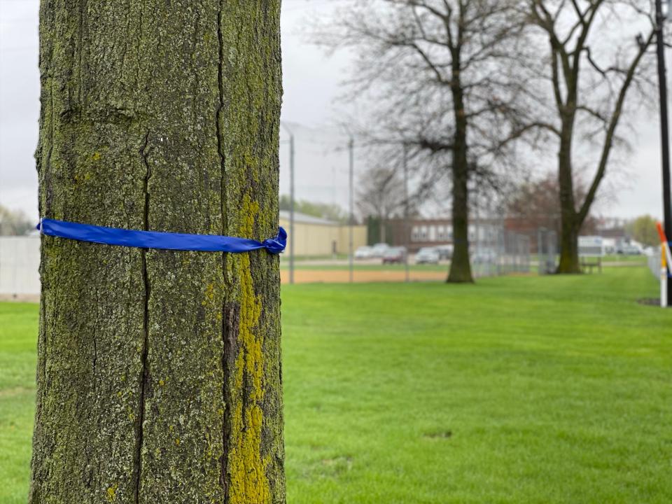 The Village of Alpha has 300 feet of blue ribbons in honor of fallen Knox County Sheriff's Deputy Nicholas Weist.