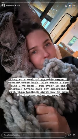 <p>Sophia Bush /Instagram</p> Sophia Bush