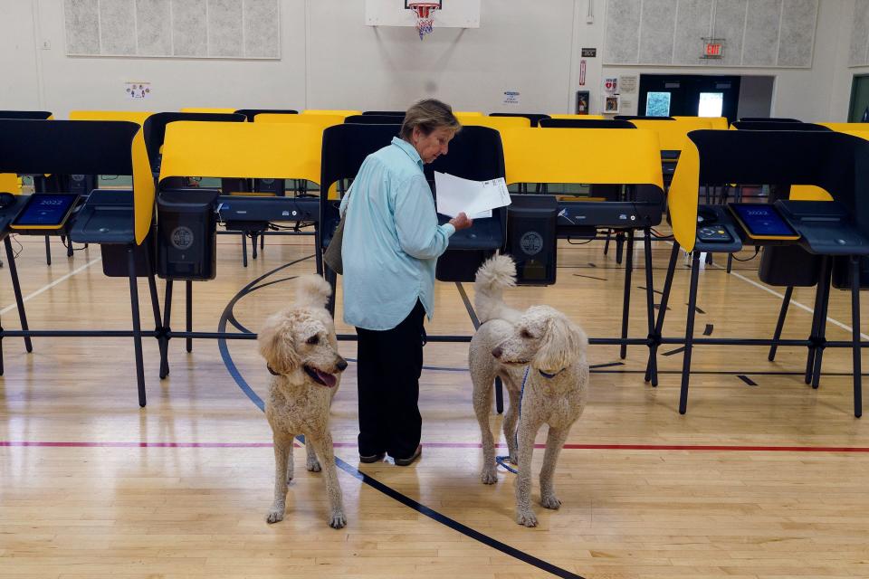 Janice Slattery votes with her dogs Randy, left, and Tucker-T in the primary election in La Habra Heights in Los Angeles County on Tuesday, June 7, 2022.