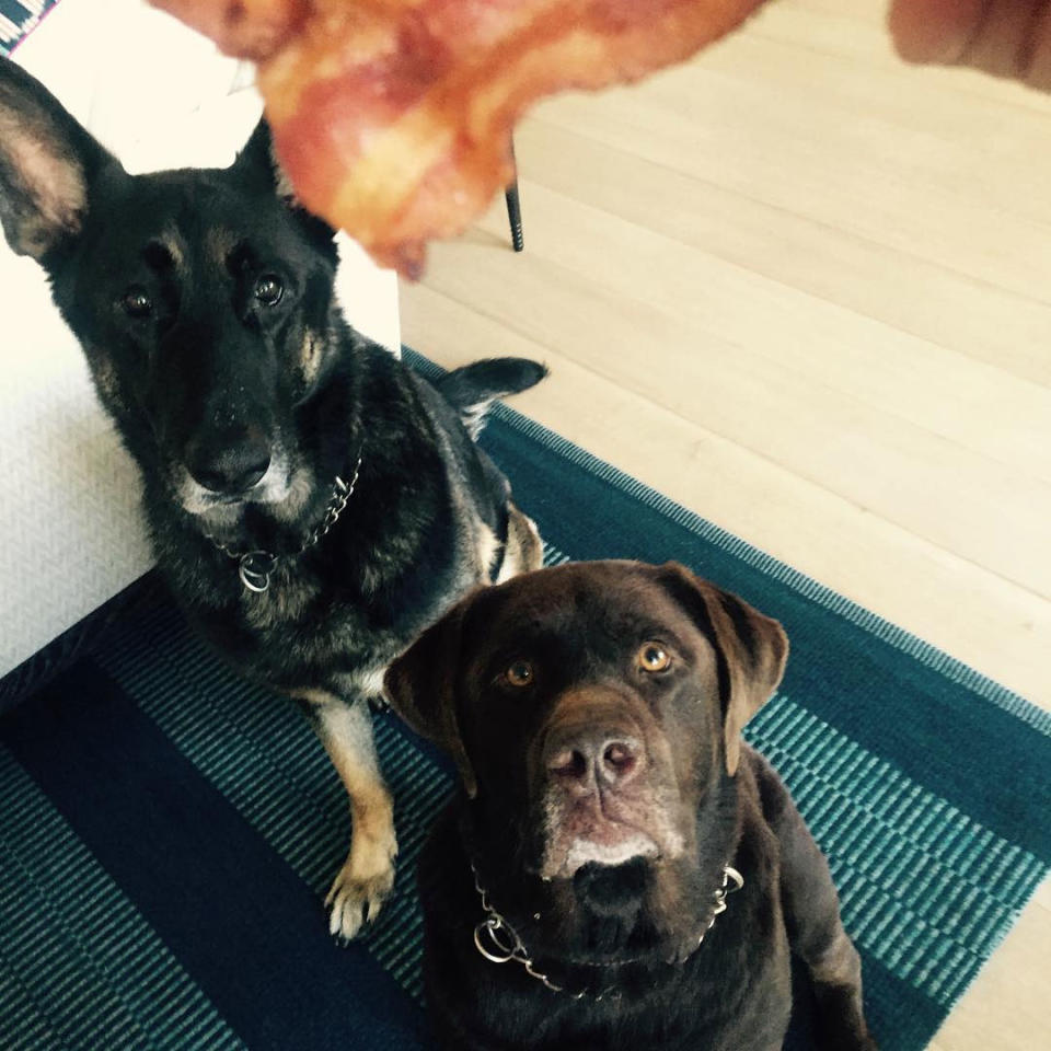 Bacon!