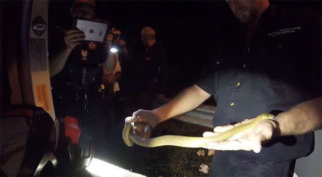 The non-venomous reptile is rescued from the vehicle. Picture: YouTube/Tony Harrison