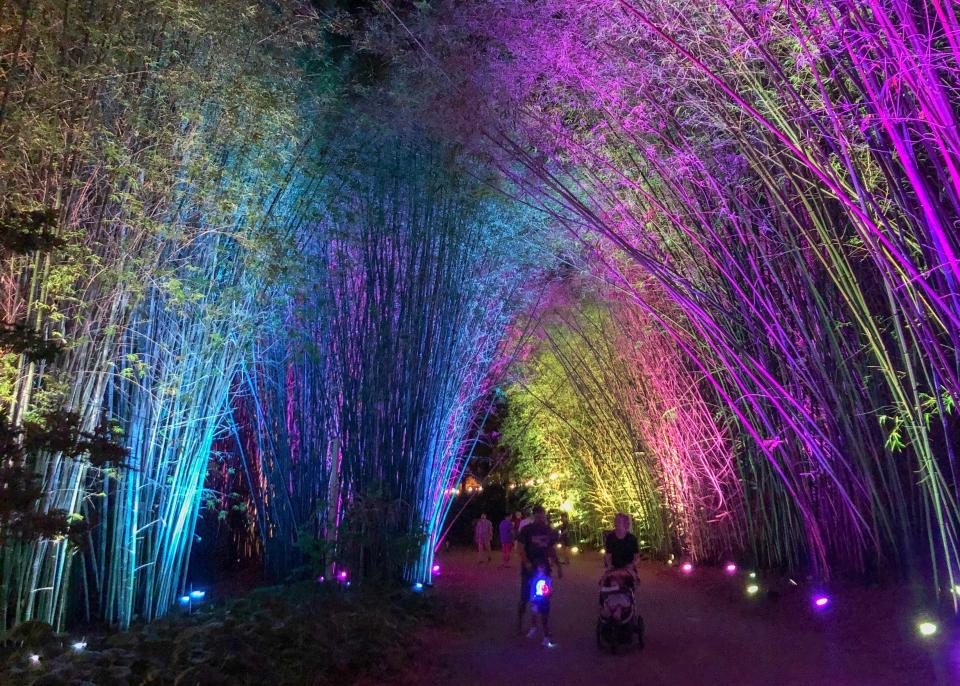 IllumiNights opens this weekend at the zoo.