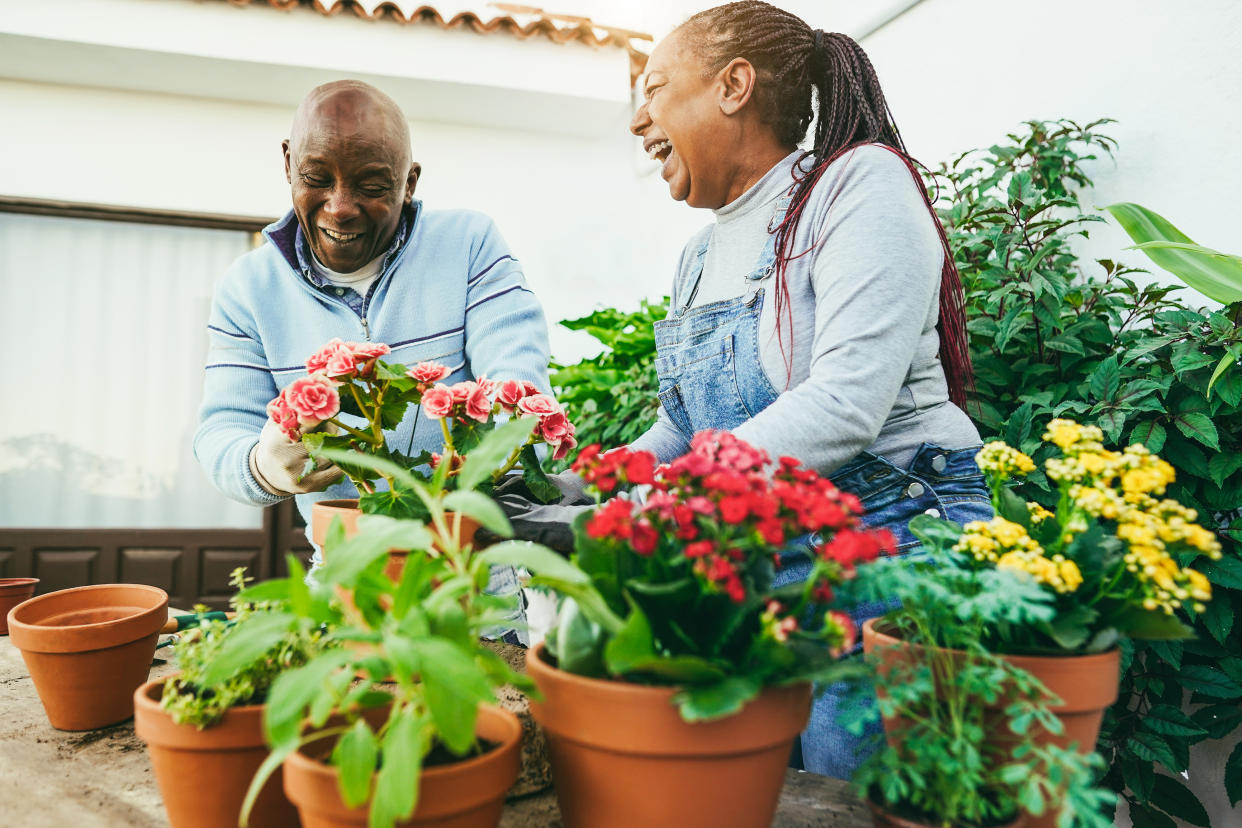 Multiracial women preparing flowers plants inside home garden outdoor - Focus on african woman face